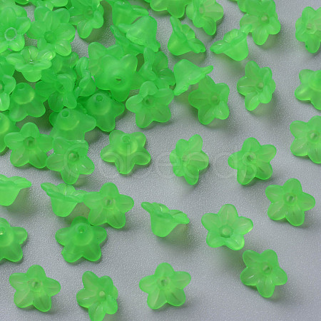 Transparent Acrylic Beads X-PL554-13-1