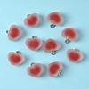 10Pcs Frosted Resin Pendants RESI-YW0004-45C-1