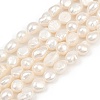 Natural Cultured Freshwater Pearl Beads Strands PEAR-P064-20K-03A-2