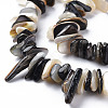 Natural Black Lip Shell Bead Strands SSHEL-N304-102-3