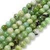 Natural Serpentine Beads Strands G-Z110-C04-4mm-2