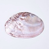 Natural Freshwater Pearl Shell Decoration SHEL-K002-01A-4