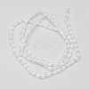 Transparent Glass Beads Strands EGLA-E046-B01-2