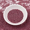 MIYUKI Delica Beads SEED-X0054-DB1746-2