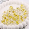Transparent Resin Inner Dried Flower Beads RESI-TAC0025-01G-1