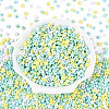 Opaque Acrylic Beads OACR-N150-05P-2