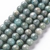 Natural Amazonite Beads Strands G-S333-8mm-005-1