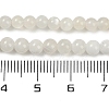 Natural White Moonstone Beads Strands G-D294-4mm-02-2