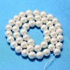 Round Shell Pearl Bead Strands BSHE-L011-12mm-A013A-3