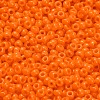 TOHO 8/0 Round Beads X-SEED-TR08-0042D-2