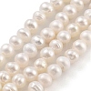 Natural Cultured Freshwater Pearl Beads Strands LS-PEAR-C003-39-2