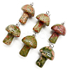 Natural Unakite Pendants FIND-SZC0010-557-1