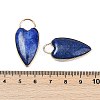 Dyed Natural Lapis Lazuli Pendants G-G193-02G-01-3