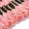 10 Skeins 6-Ply Polyester Embroidery Floss OCOR-K006-A28-2