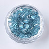 6/0 Glass Seed Beads SEED-S027-05B-13-2
