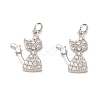 Brass Micro Pave Cubic Zirconia Pendants KK-E068-VB313-2
