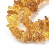 Natural Amber Beads Strands G-L095-D01-02-4
