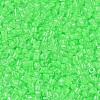 MIYUKI Delica Beads SEED-X0054-DB2040-3