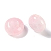 Two Tone Resin European Beads RESI-F055-09E-2