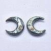 Natural Abalone Shell/Paua Shell Cabochons SSHEL-P015-80A-35mm-2