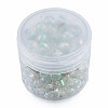 Transparent Glass Beads EGLA-N002-49-B07-2