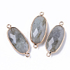 Natural Labradorite Links Connectors G-R472-03M-1