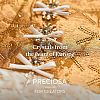 Preciosa® Crystal Hotfix Flatback Stones Y-PRC-HSS6-71350-200-4