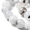Natural Rainbow Moonstone Beads Strands G-Q1001-A05-03-4
