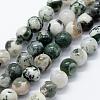 Natural Tree Agate Beads Strands G-I199-03-8mm-4