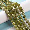 Natural Chinese Southern Jade Beads Strands G-T055-8mm-15-1