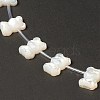 Natural White Shell Mother of Pearl Shell Beads BSHE-B005-06-3