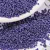 MIYUKI Round Rocailles Beads X-SEED-G009-RR0434-1
