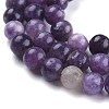 Natural Lepidolite/Purple Mica Stone Beads Strands G-K415-6mm-4