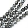 Natural Larvikite Beads Strands G-R345-8mm-33-1