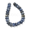 Natural Blue Spot Jasper Beads Strands G-G142-A13-01-3