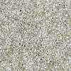 MIYUKI Round Rocailles Beads X-SEED-G009-RR0001-4