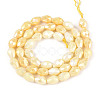 Anti-Tarnish Electroplate Glass Beads Strands X-GLAA-T025-13A-09-2