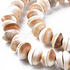 Natural Shell Beads Strands SSHEL-N034-100-3