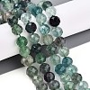 Natural Fluorite Beads Strands G-T140-19C-2