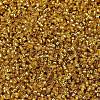 MIYUKI Delica Beads X-SEED-J020-DB2157-3
