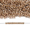 TOHO 3/0 Round Beads SEED-TR03-0989-4