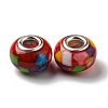 Bohemian Style Resin European Beads RESI-D069-01D-1