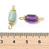 Natural Gemstone Connector Charms PALLOY-JF05820-3