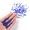 8/0 Glass Seed Beads SEED-A006-3mm-108-4