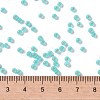 MIYUKI Round Rocailles Beads X-SEED-G008-RR0571-2