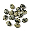 Natural Dalmatian Jasper Cabochons G-A094-01B-51-1