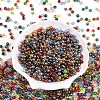 Transparent Colours Rainbow Glass Seed Beads SEED-N007-08-2