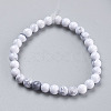 Natural Howlite Beads Strands TURQ-G091-6mm-2