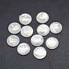 Shell Cabochons SSHEL-E568-B-1