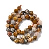 Natural Crazy Agate Beads Strands G-Z119-A13-02-4